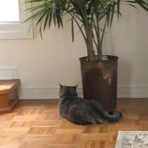 Meet your Posher, Holly